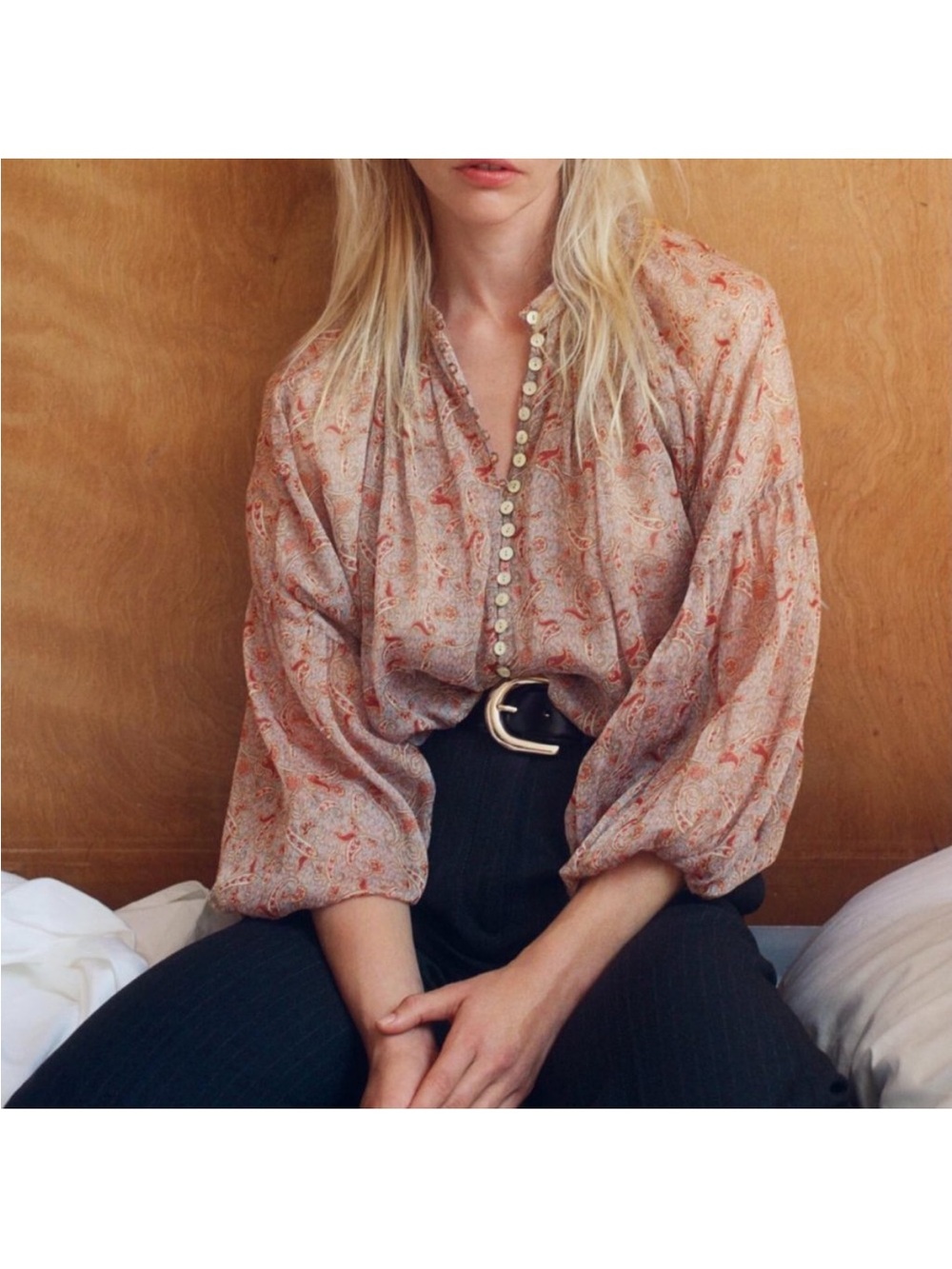 Zara Paisley Pattern Cropped Blouse Top Sheer Balloon Sleeve Size S